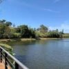 Lago Norte Do Barreiro