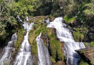 Parque Ecológico Do ...